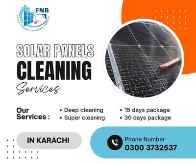 solar panels cleaning services