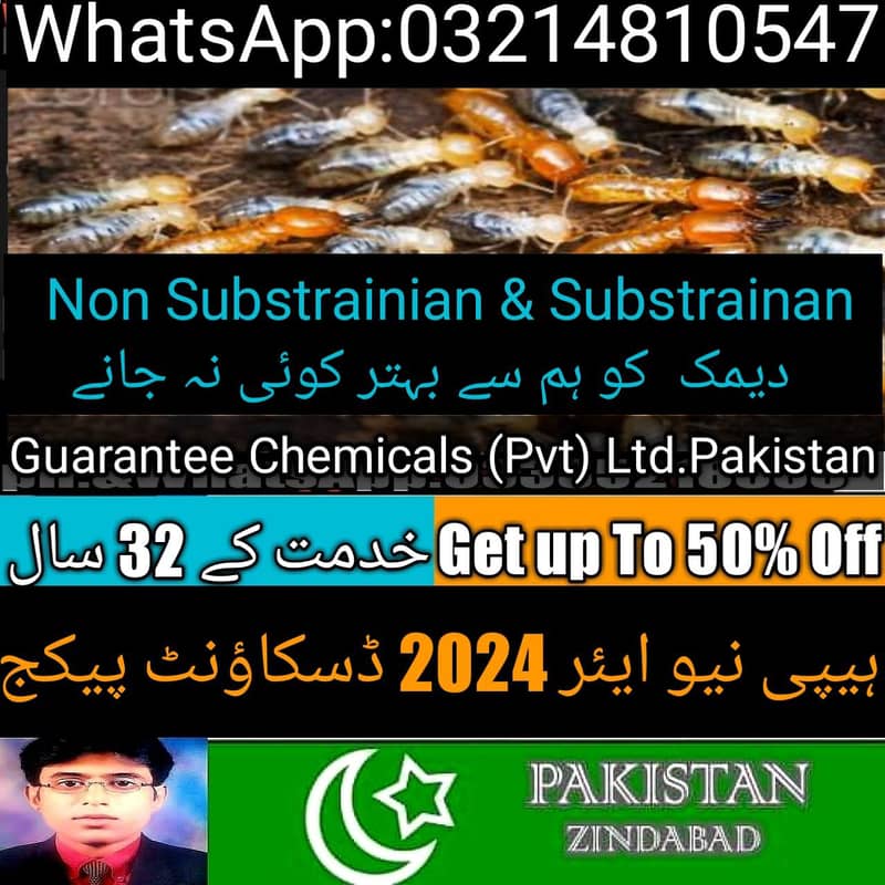 Termite Control/Pest Control/Rats Control/Fumigation/Daungi Spray 6