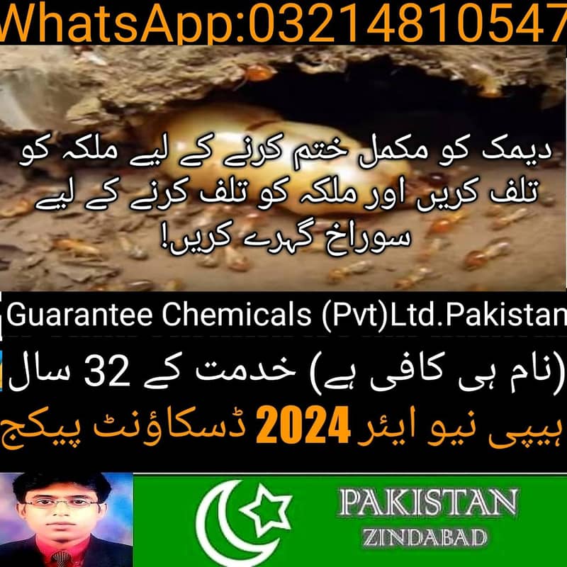 Termite Control/Pest Control/Rats Control/Fumigation/Daungi Spray 11