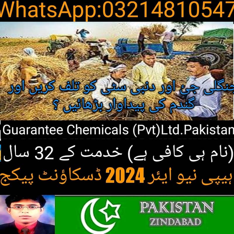 Termite Control/Pest Control/Rats Control/Fumigation/Daungi Spray 15