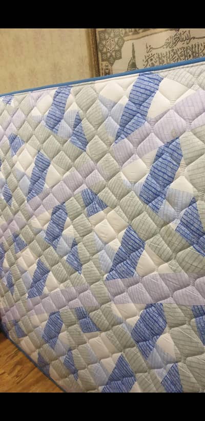 Molty Spring Mattress 8 inches,