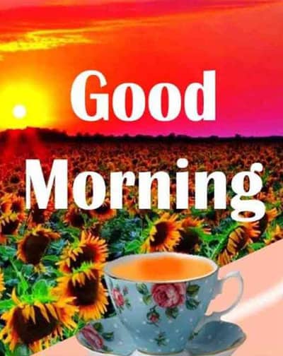 Muhammad Shahid Rajput