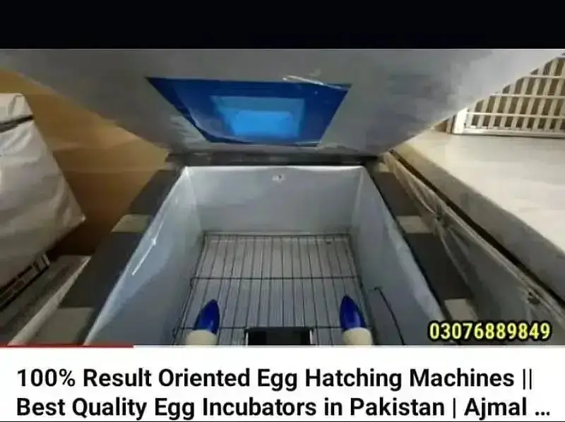 Energy saver incubator 10 watt | Egg hatching| egg machine| incubator — photo 6