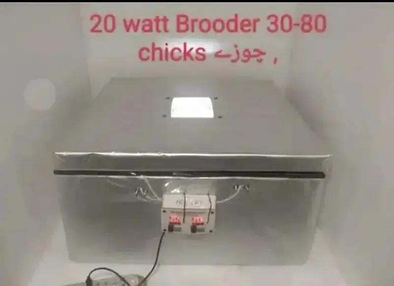 Energy saver incubator 10 watt | Egg hatching| egg machine| incubator — photo 12