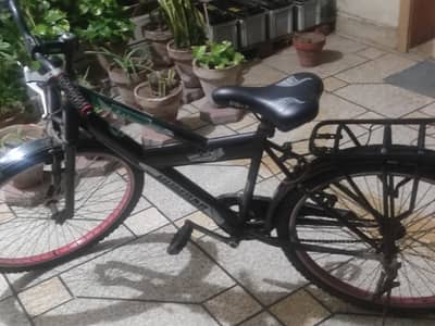 Bicycle for sale