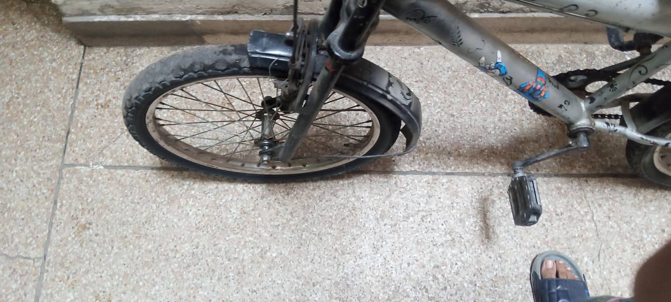 bicycle 5