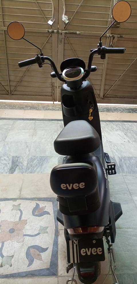 Evee Sonic Scotty 1