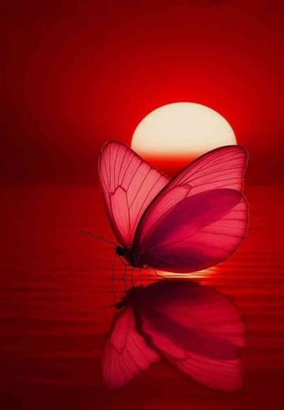 الللہ ھو اکبر300