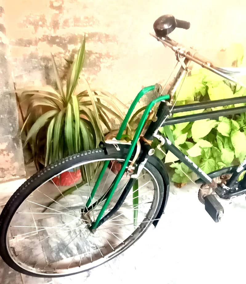 سائیکل Bicycle 2