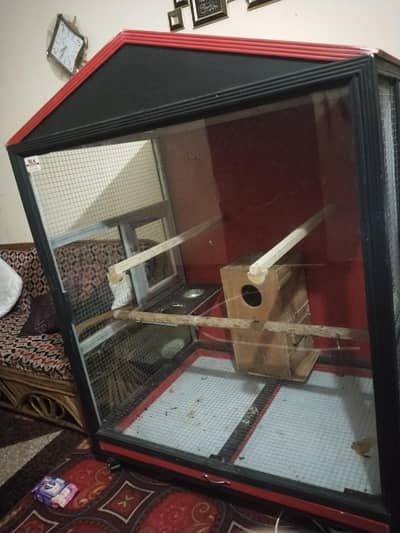 House shape cage for Parrots or other birds.