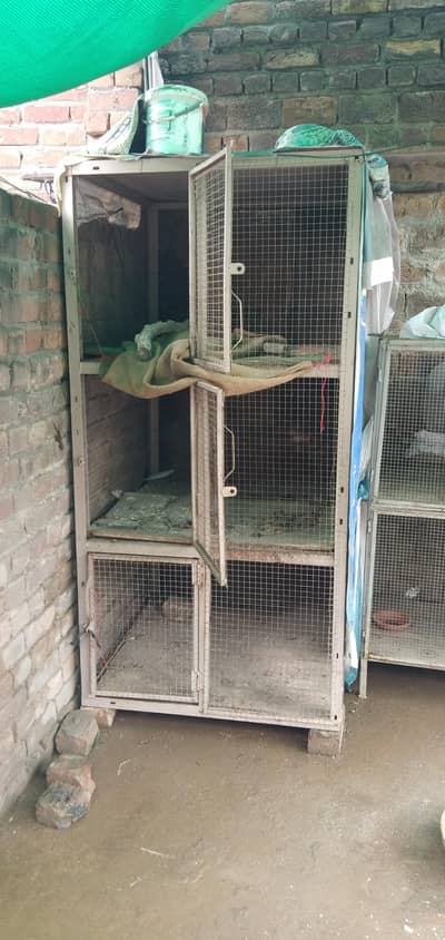 3 Box cage for aseel and other birds