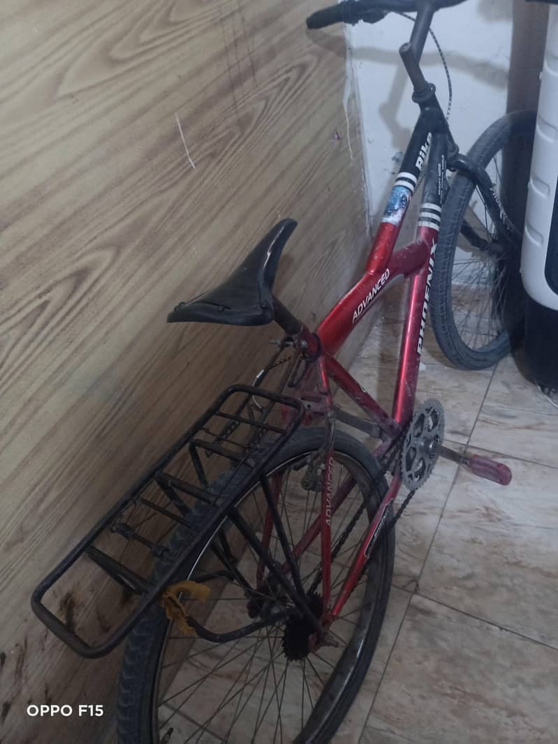 phonix bicycle 1
