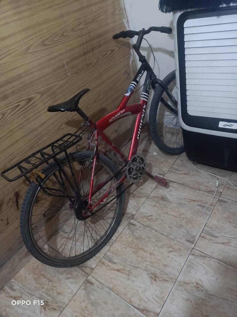 phonix bicycle 2