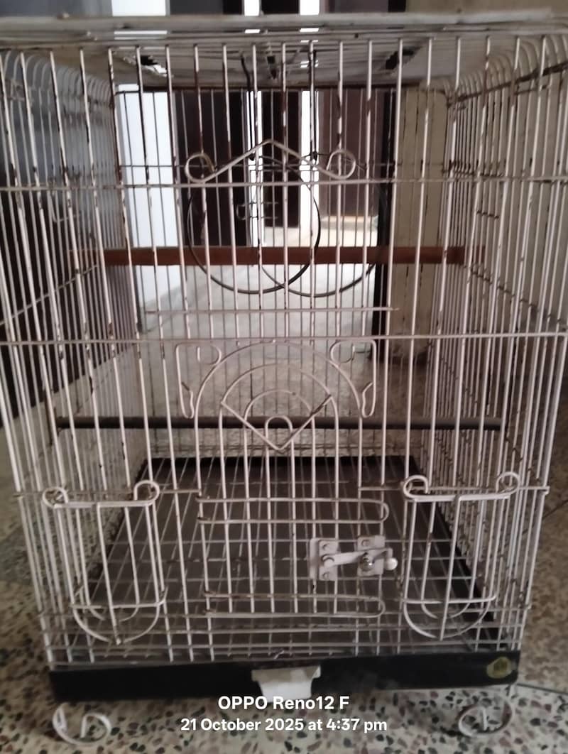 Bird cage 0