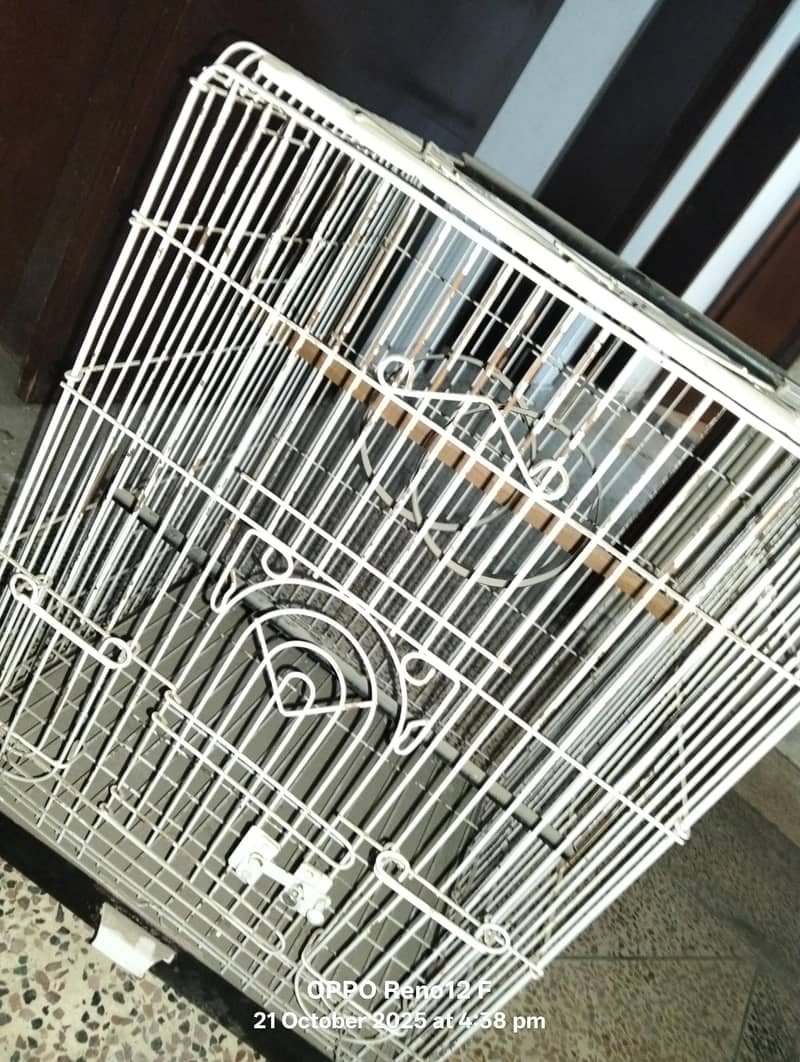 Bird cage 1
