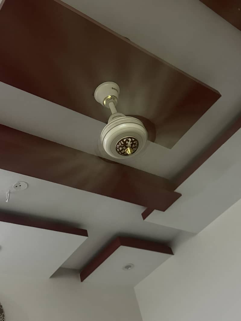 Ceiling fans 1