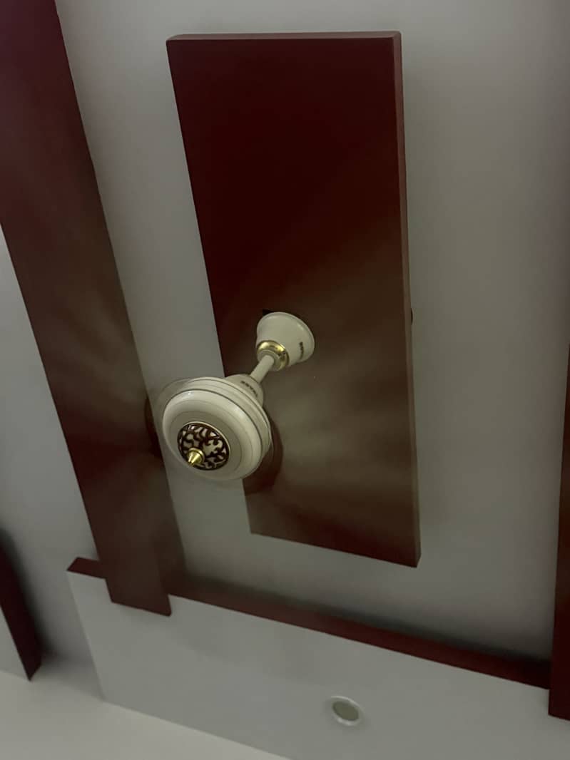Ceiling fans 2