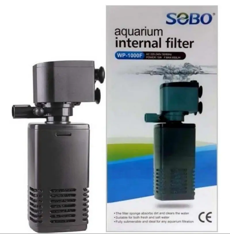 Fish, aquarium and all accessories