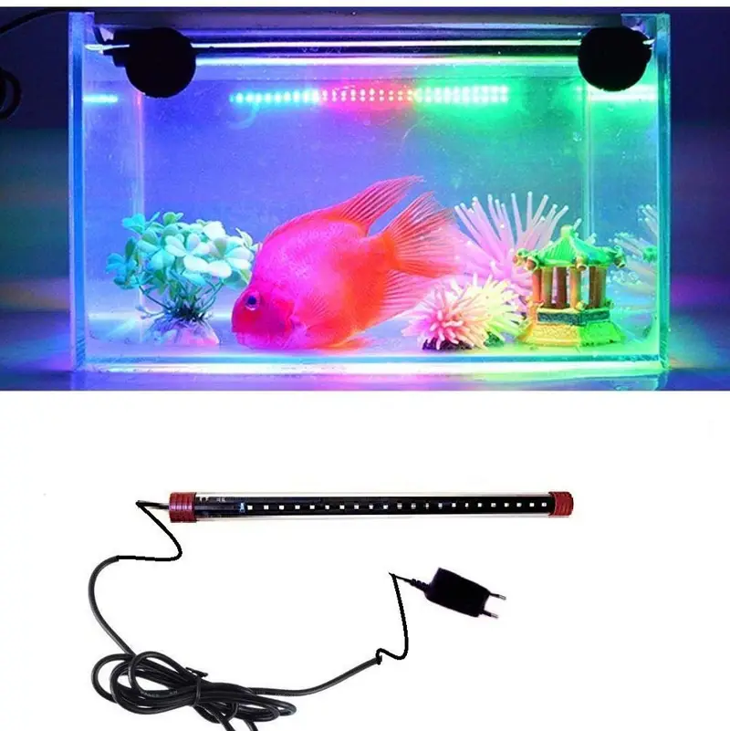 Fish, aquarium and all accessories — photo 2