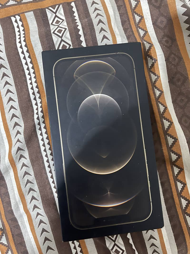 Iphone 12 pro max 1