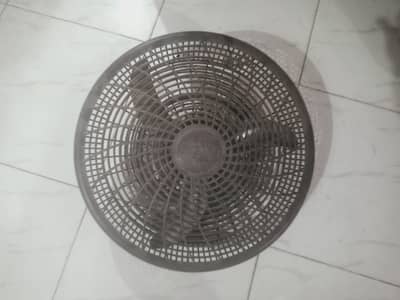 12 volt DC wall fans.