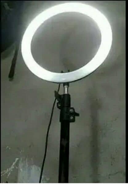 Ring Floor Lamp 0