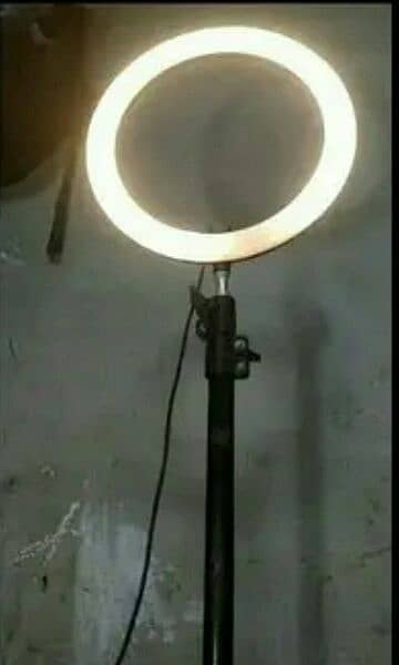 Ring Floor Lamp 1