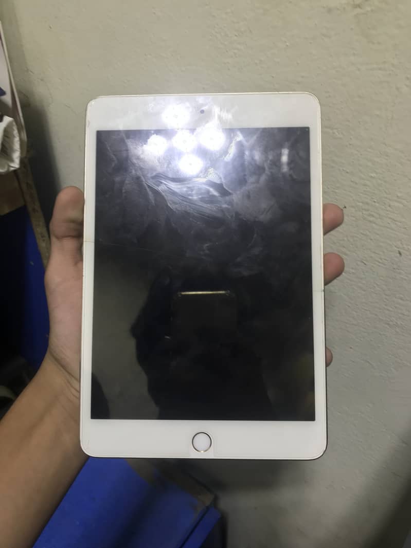 iPad mini 4 2