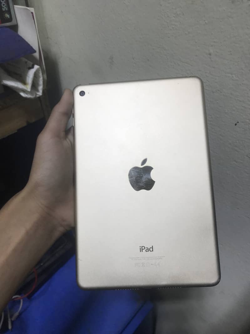 iPad mini 4 3