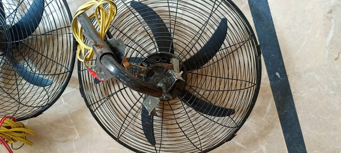 Two Fan 1