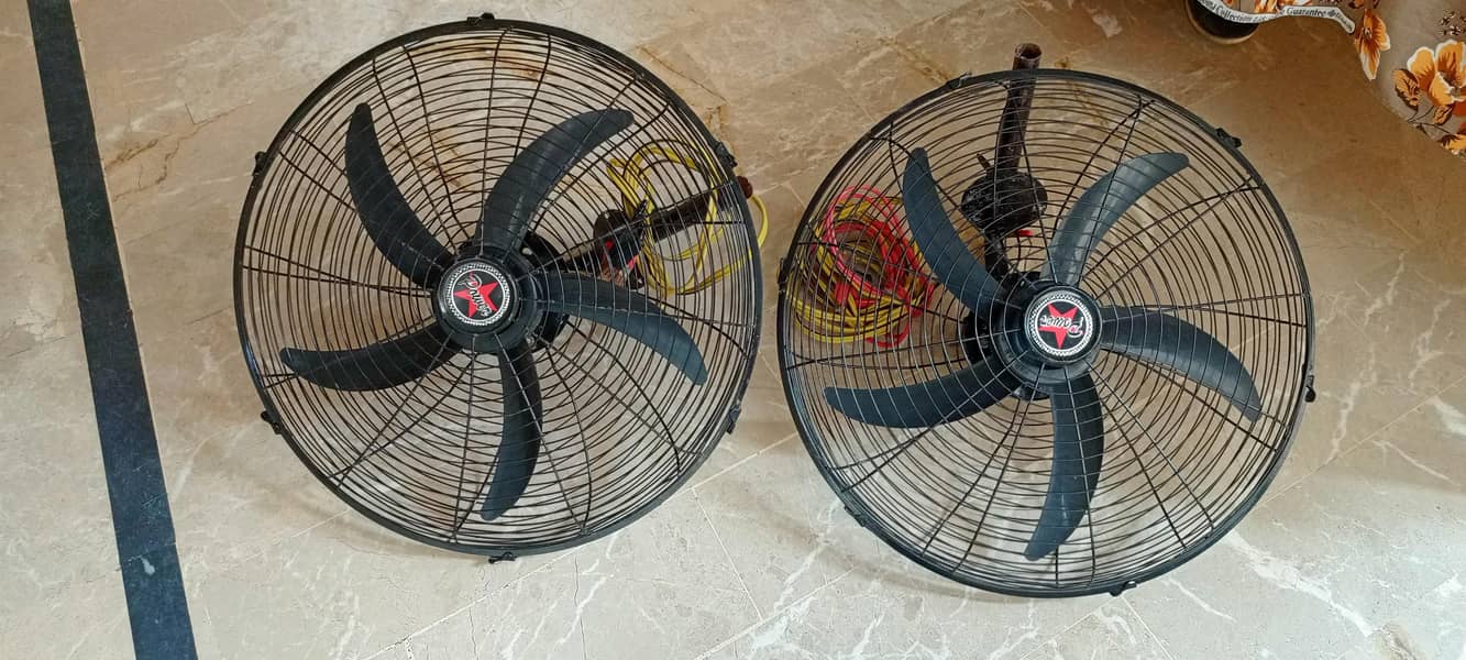Two Fan 5