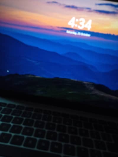 Sales promotion officer