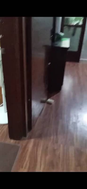 2 bed D/D Flat in Gulshan-e-Iqbal Block-5 2