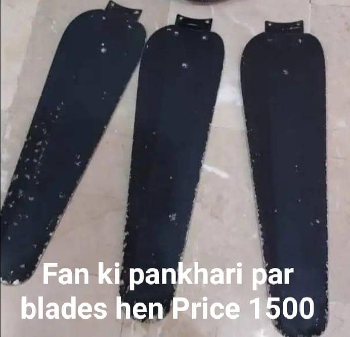 Fan ki sirf pankhari hen - Ceiling Fans - 1107771543