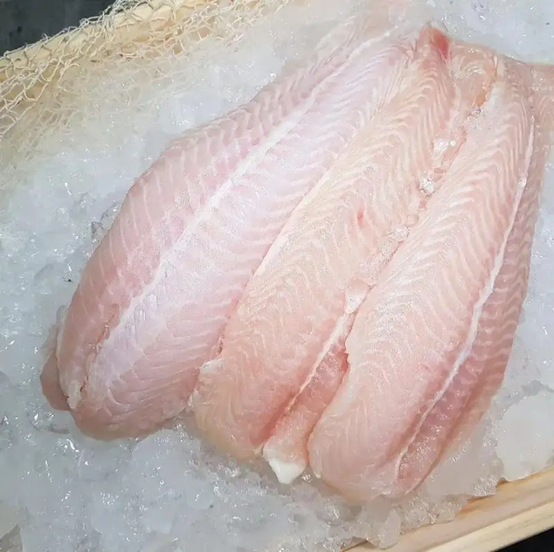 Fishes — photo 2