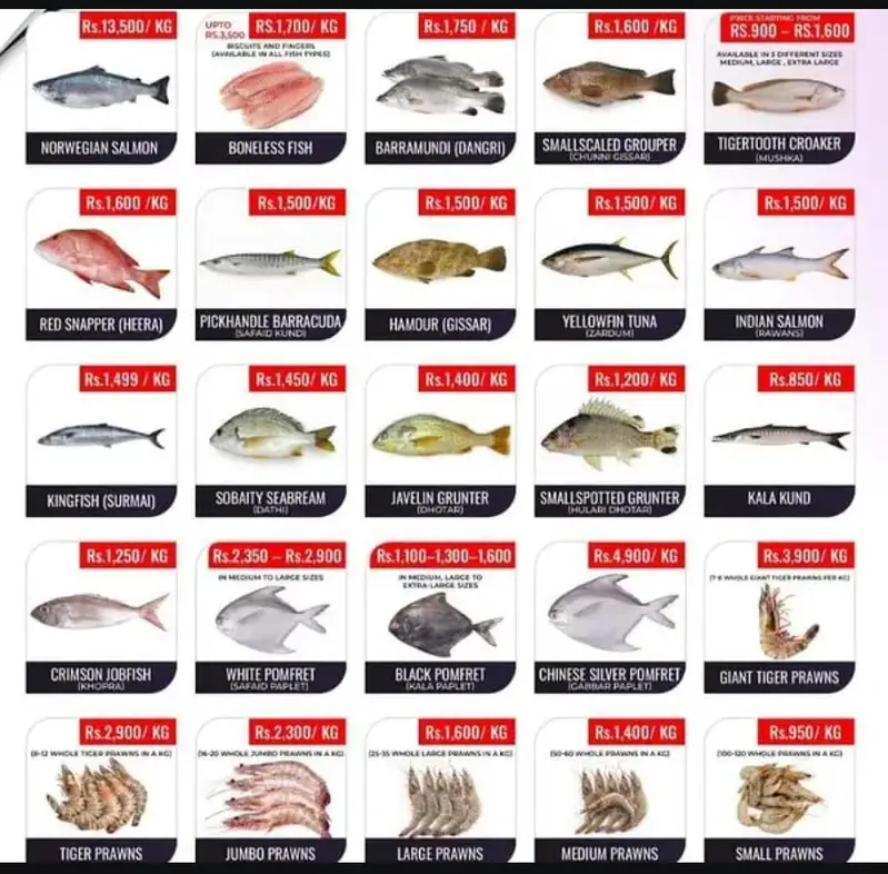 Fishes — photo 10