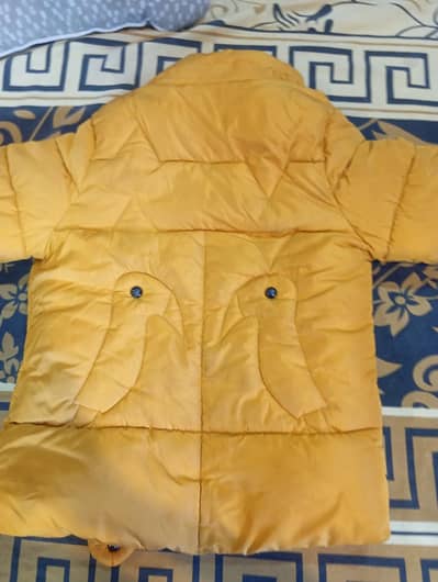 jacket for sale