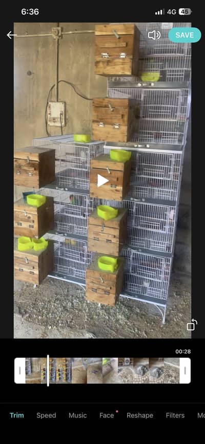 Breeding boxes  available only 8