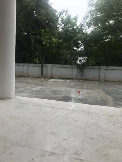 Need female for mother care