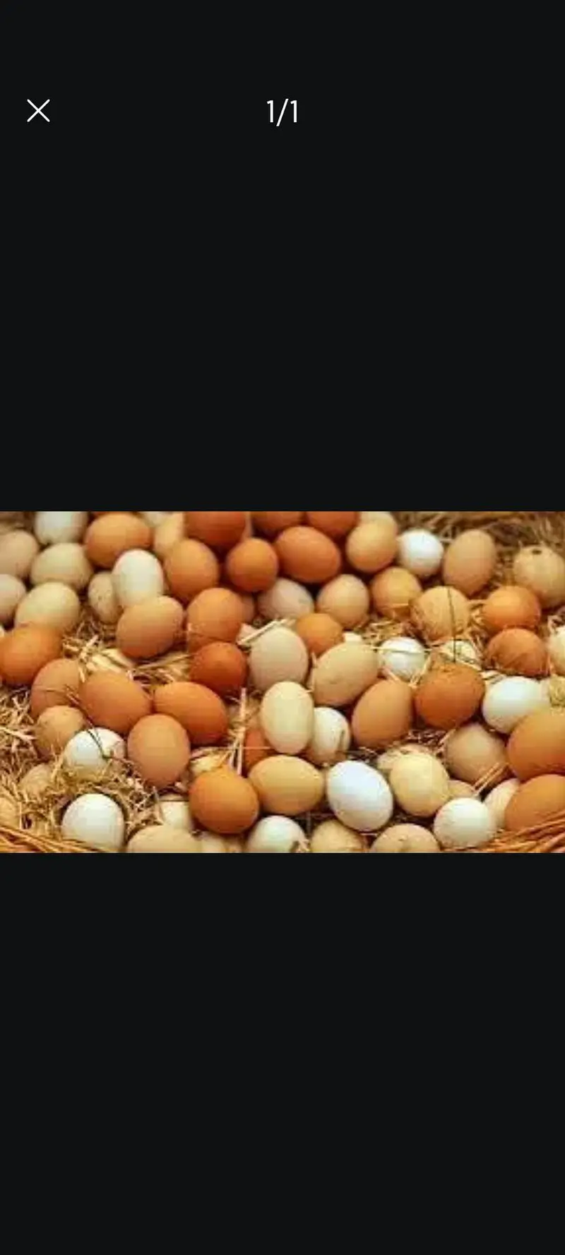 100% pure desi eggs for sale