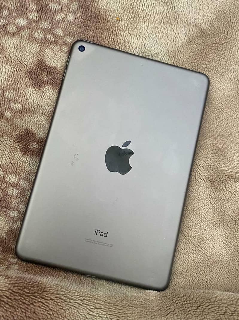 iPad mini 5 1