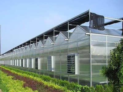 Tensile shed/poly carbonate sheet shed/Dairy Farm shed