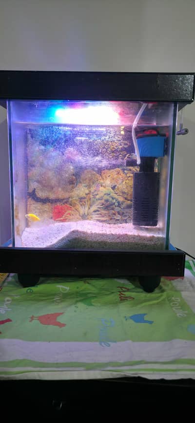 small size Aquarium with accessories