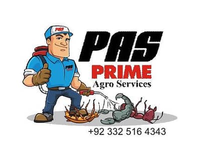 deemak, termite,, dengue,spray