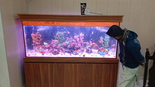 aquarium making and services