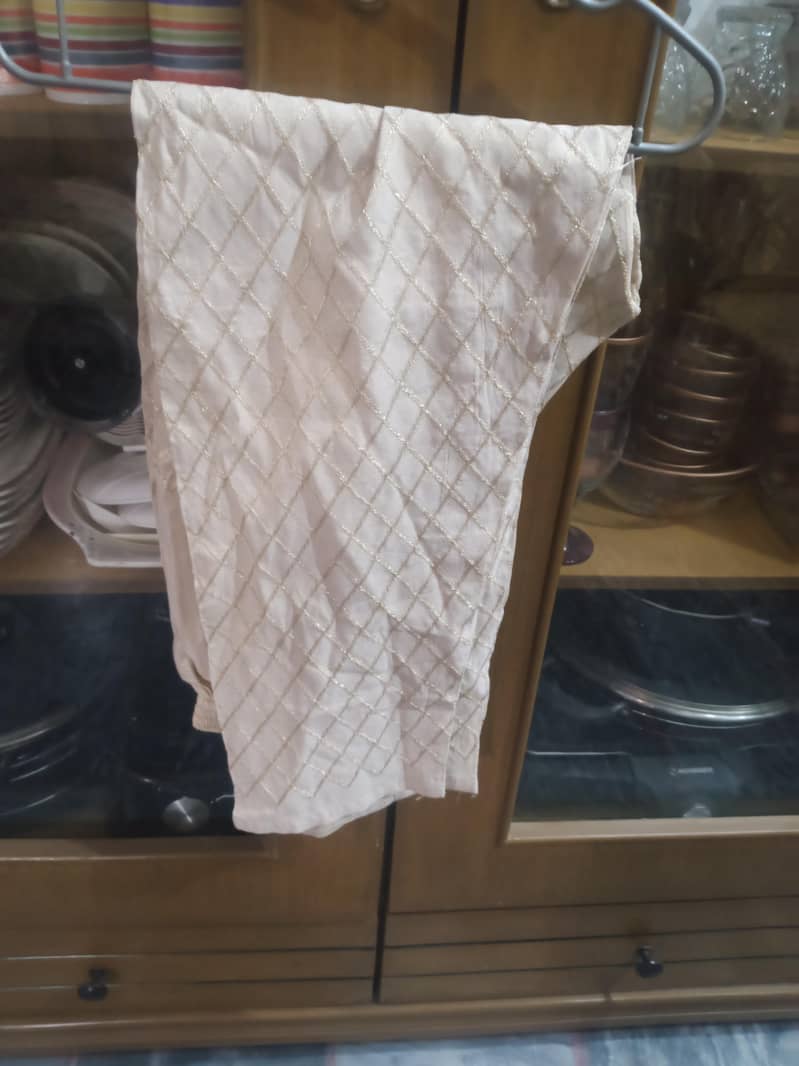 Net fancy frock with  trouser and net duppata 2