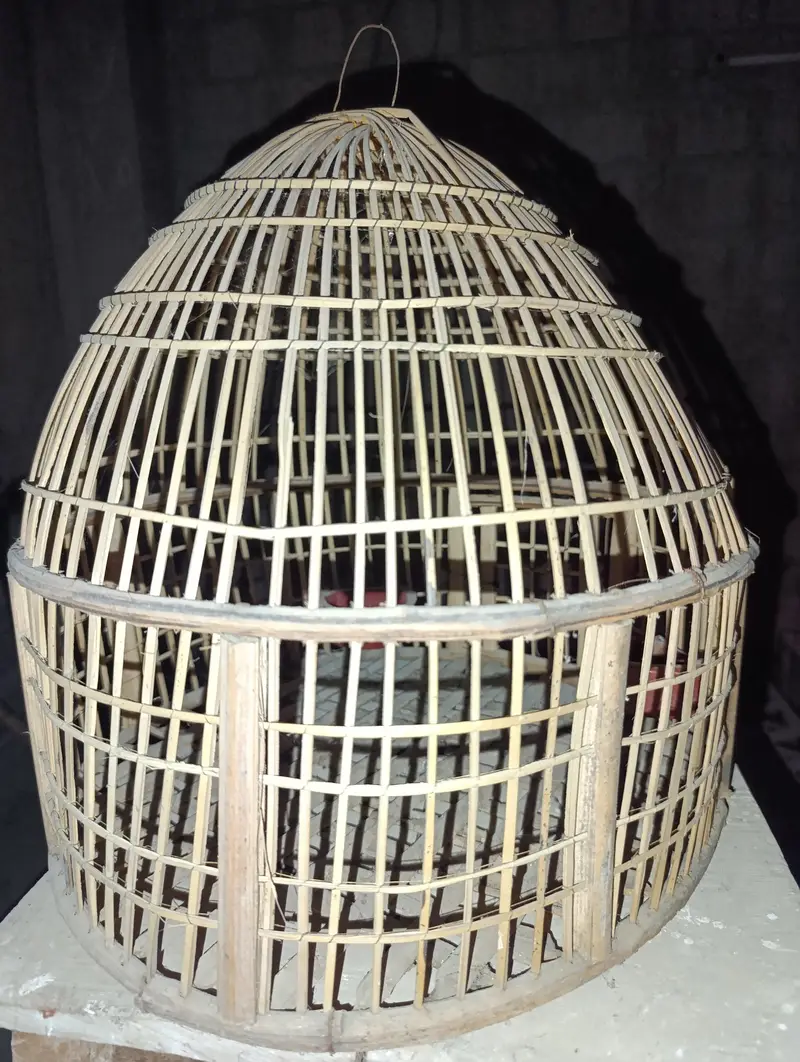 Pet cages