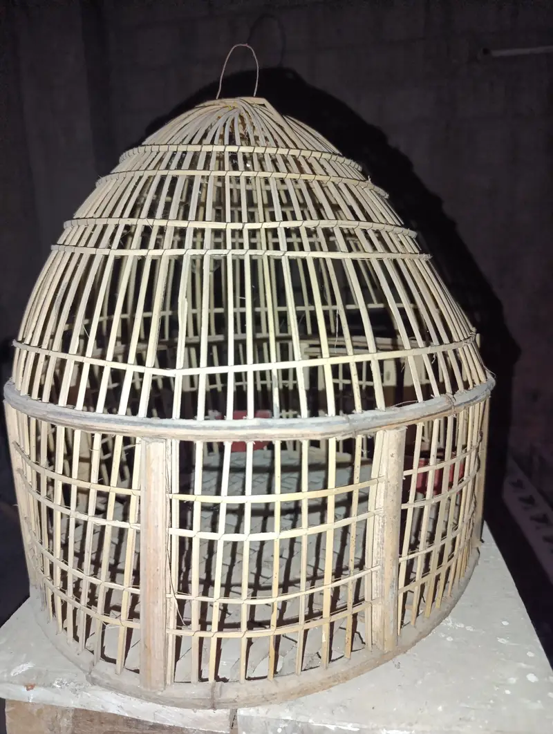 Pet cages — photo 2