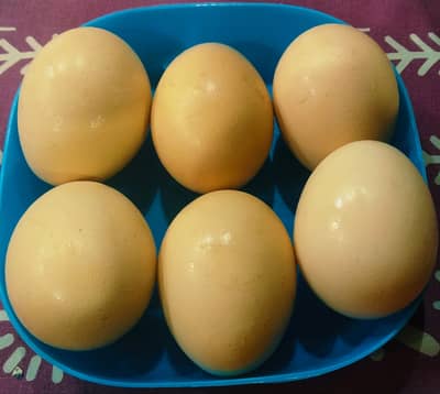 Desi Murghi Hen k Eggs/ Organic Natural 65to 70 grams weight