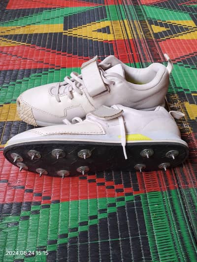 custom made adidas spikes